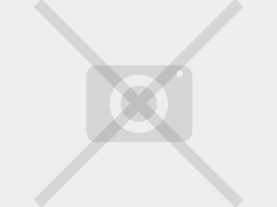 Horizontal Picket Pedestrian Gates